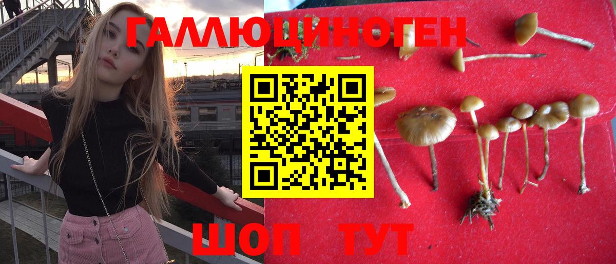 Галлюциногенные грибы GOLDEN TEACHER  Вход с VPN  Кинель  Псилоцибиновые грибы Magic Shrooms 