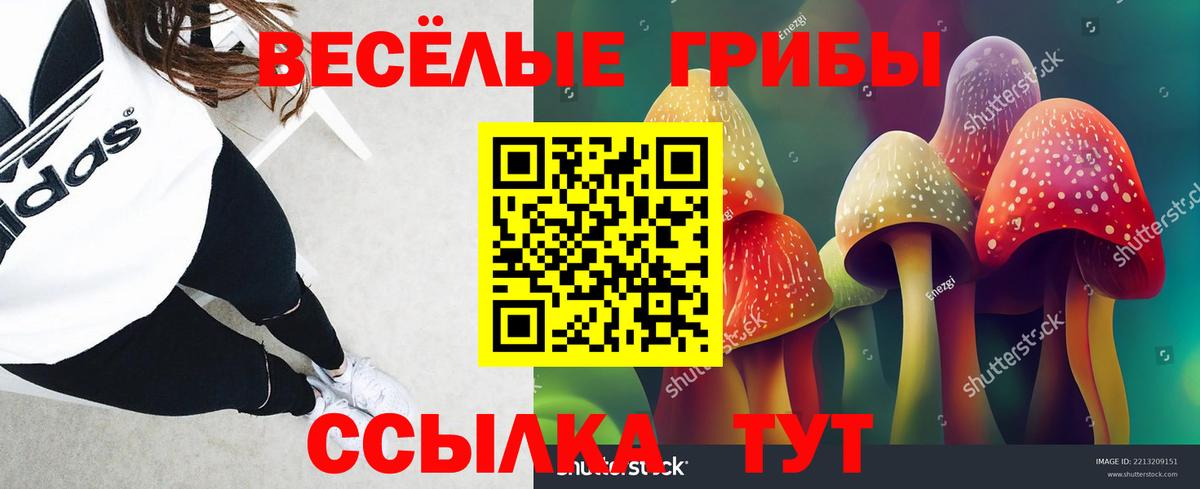Галлюциногенные грибы прущие грибы Кинель