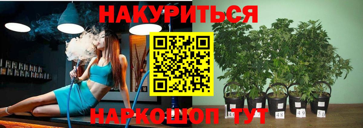 Конопля индика  МАРИХУАНА THC 21%  Вход с VPN  Марихуана ГИДРОПОН  Бошки марихуана конопля  Кинель 